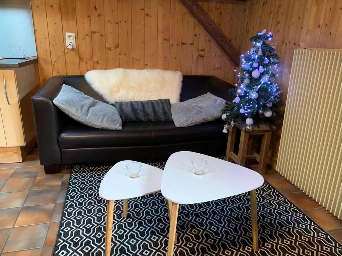 Willa La Jolie Bergere Morzine Zewnętrze zdjęcie