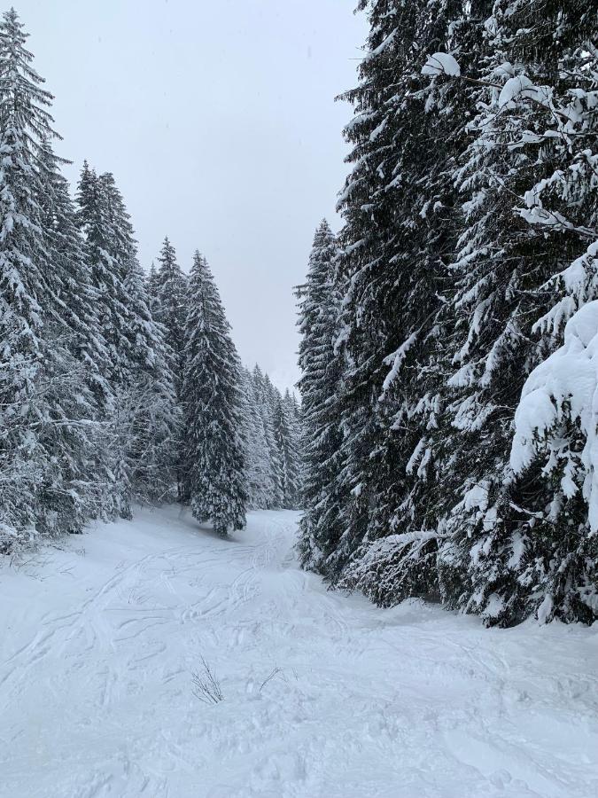 Willa La Jolie Bergere Morzine Zewnętrze zdjęcie